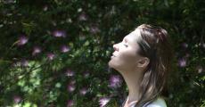 全球呼吸机“大作战”：美敦力开源 特斯拉跨界