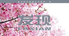 羞耻：心理健康的隐形杀手