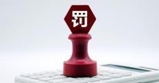 因监管标准化数据报送违规，八家银行领罚1770万元，六大行悉数“中招”