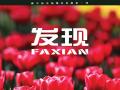 祸福相倚与制胜之道