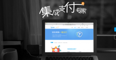 银生宝：深入商业场景  构建“支付+服务”护城河