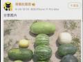 安排女友高薪入职 传淘宝直播幕后推手被开除