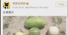 安排女友高薪入职 传淘宝直播幕后推