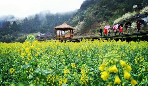 下载 (2).jpg