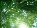 成为“AI芯片之王”，要烧掉多少钱？