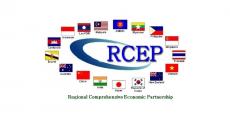 区域全面经济伙伴关系协定（RCEP） 第8次部长级会议《联合媒体声明》
