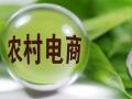 挖潜农村消费将迎“加强版”政策支持 推动电商进农村、完善商贸流通网络