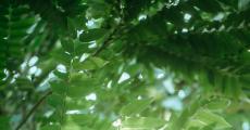误伤线审被取消美网资格 小德：很意外，很抱歉