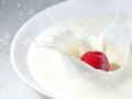 “现挤羊奶”感染布病 再敲食品安全警钟