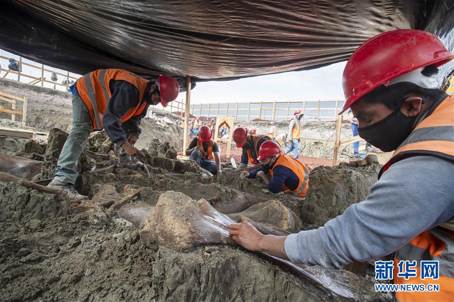 å¢¨è¥¿å¥æ°æºåºå·¥å°è¿æ¥åç°ä¸ç¾å·çç¸è±¡ééª¨