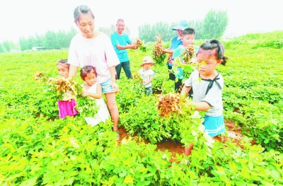 乡村旅游：除了田园农庄，不妨再多点文化风情