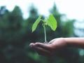教育部发布42个高校精准扶贫脱贫典型项目