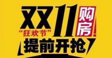 “双11”网上卖房催着房子上网