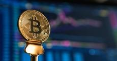 后疫情时期；财政政策需继续有所作为