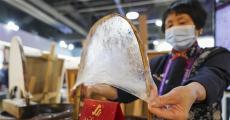中外文化聚进博