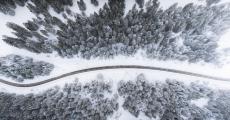 市民：“绿色”出行 方便清雪