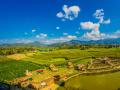 文化和旅游部：保护好、传承好、弘扬好黄河文化