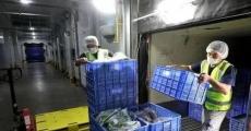 海南建立基于区块链技术的冷链食品溯