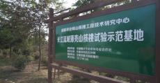 安徽全椒：打造薄壳山核桃产业战略区