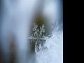 甘肃白银：冰雪运动激发中国年轻人热情