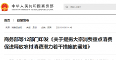 稳定和扩大汽车消费12部门发文布置三方面任务