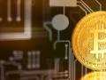 1月基金发行火爆平均规模逾40亿