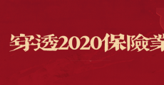 2020年保险罚单