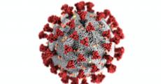 南非新冠病毒变异株详细流行病学分析出炉|国际战“疫”行动