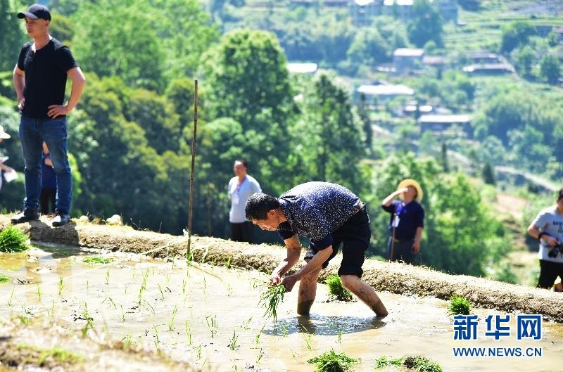 湖北宣恩：美丽田园成为网红打卡点