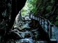 黑龙江伊春：初夏绿意浓