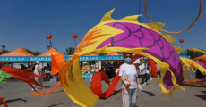 吉林·九台第五届山野菜美食文化旅游节启幕