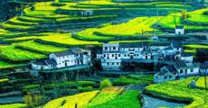 安徽旅游发布“红黑榜”
