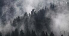 花俏光雾山