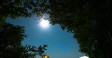 回归“理性”资本“退圈” 露营市场