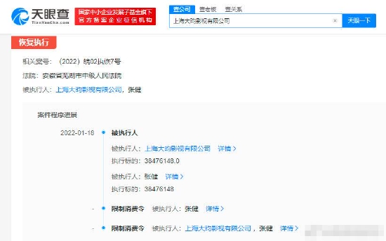上海大昀影视有限公司新增限制消费令
