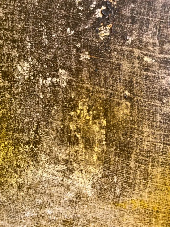 1731641024286.jpg